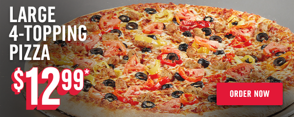 dominos coupon for new user
