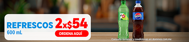 2 REFRESCOS 600ML