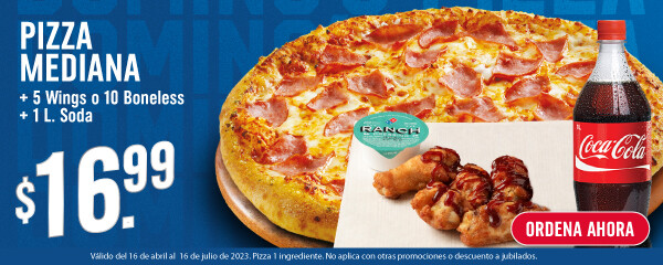 Domino's Pizza Panama, Order Online 