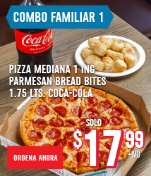 Fam Combo #1 Med,Parm &amp; Drink $16.99